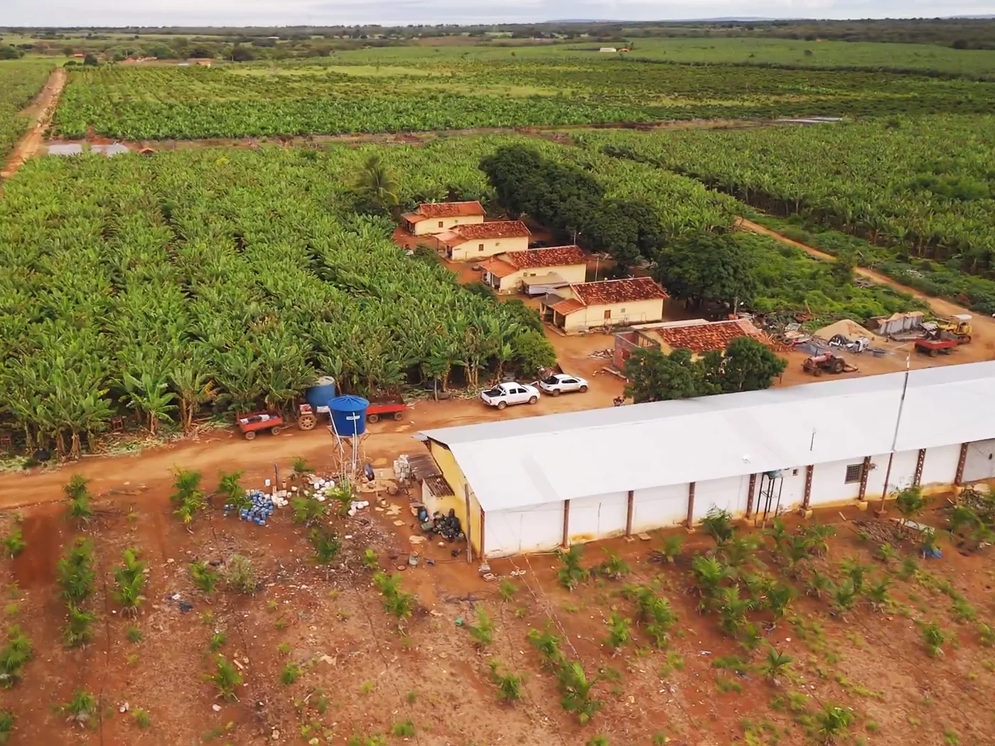 Sede e galpão da Fazenda Mosquito vistos do alto